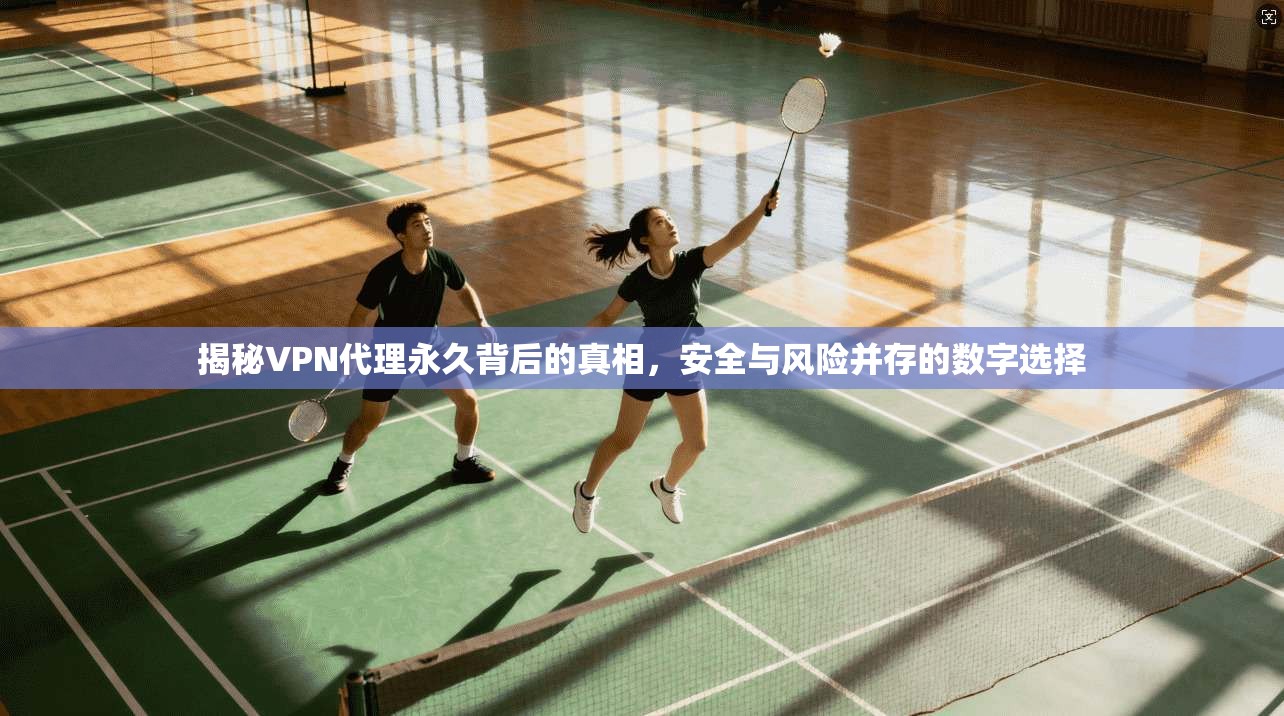 揭秘VPN代理永久背后的真相，安全与风险并存的数字选择