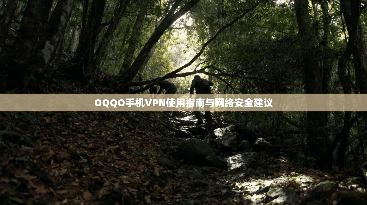 OQQO手机VPN使用指南与网络安全建议