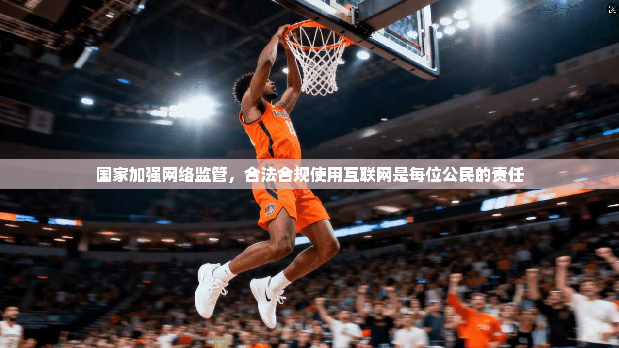 国家加强网络监管，合法合规使用互联网是每位公民的责任