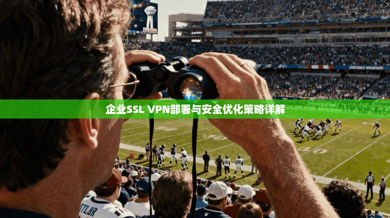 企业SSL VPN部署与安全优化策略详解