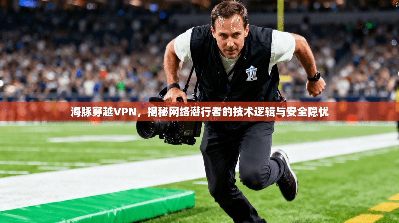 海豚穿越VPN,揭秘网络潜行者的技术逻辑与安全隐忧 海豚穿越VPN,揭秘网络潜行者的技术逻辑与安全隐忧