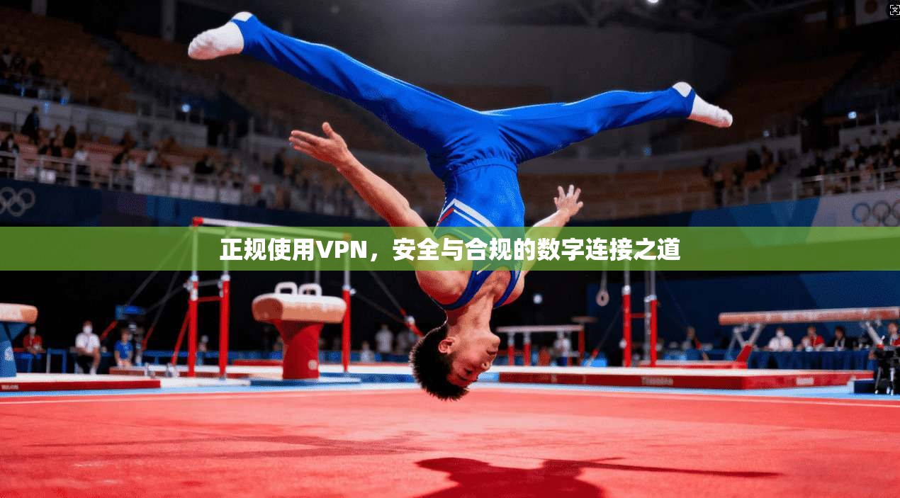 正规使用VPN，安全与合规的数字连接之道