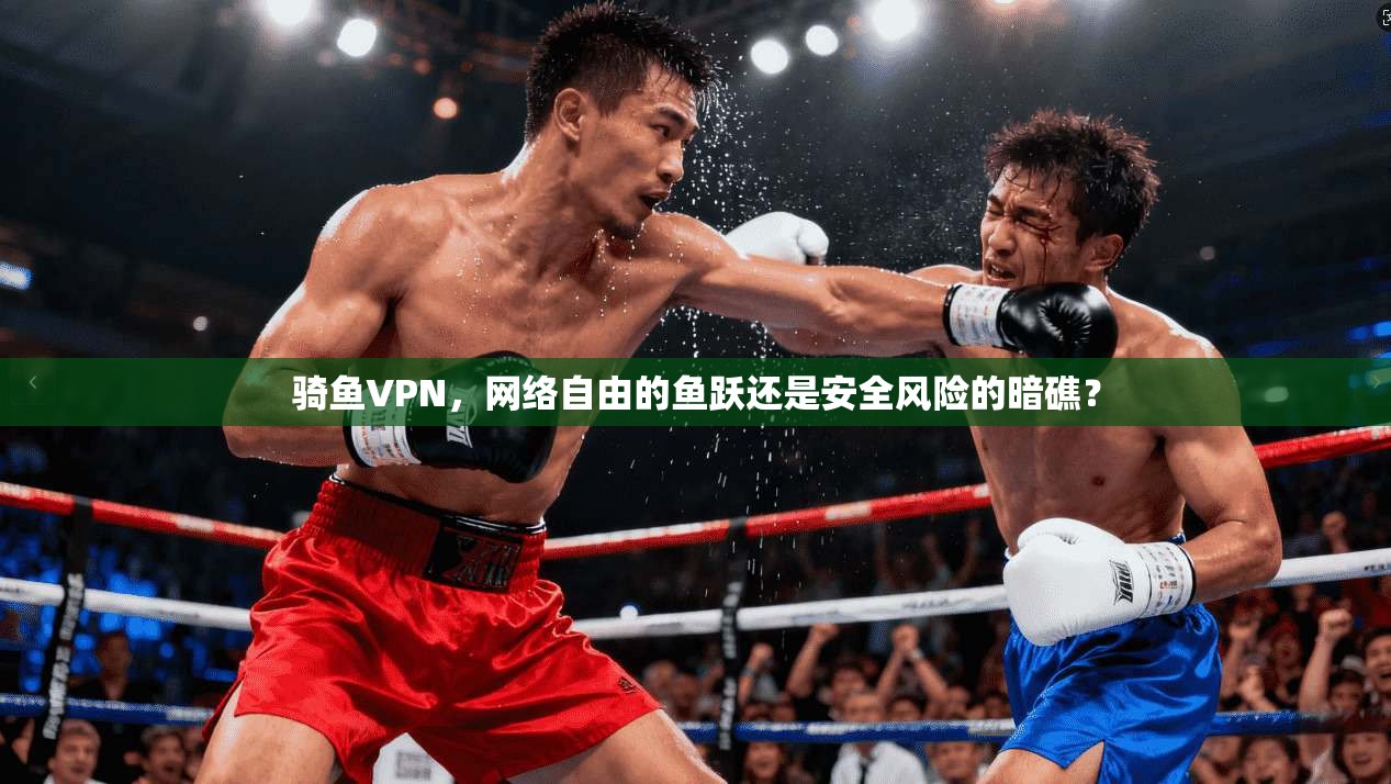 骑鱼VPN，网络自由的鱼跃还是安全风险的暗礁？