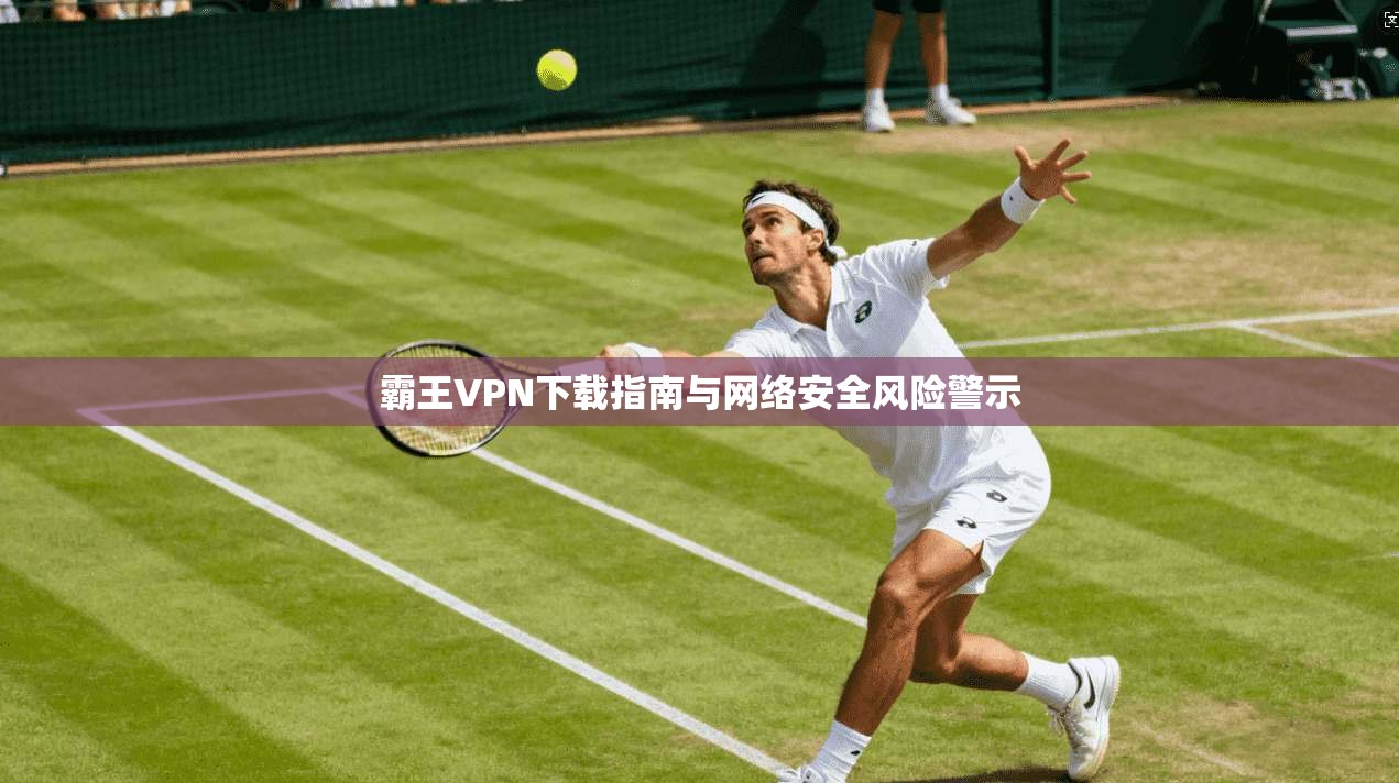 霸王VPN下载指南与网络安全风险警示