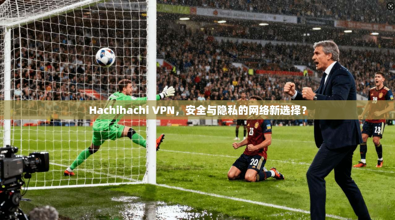 Hachihachi VPN，安全与隐私的网络新选择？