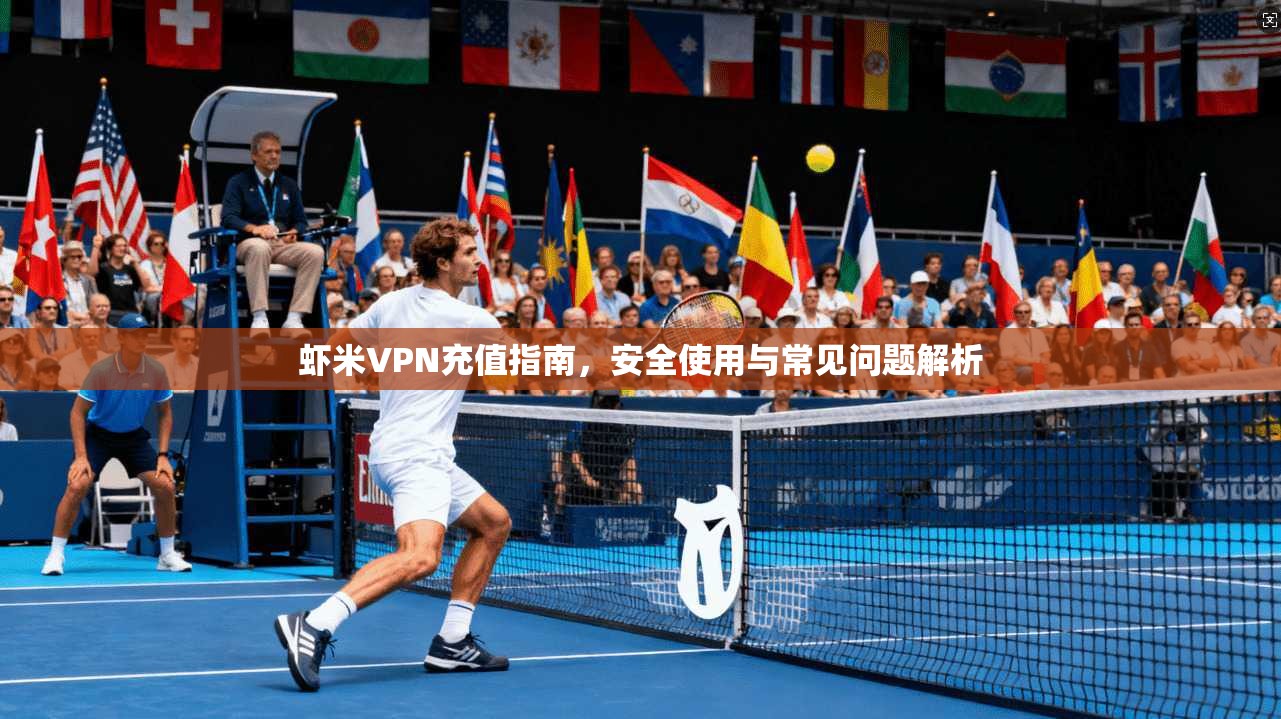 虾米VPN充值指南，安全使用与常见问题解析