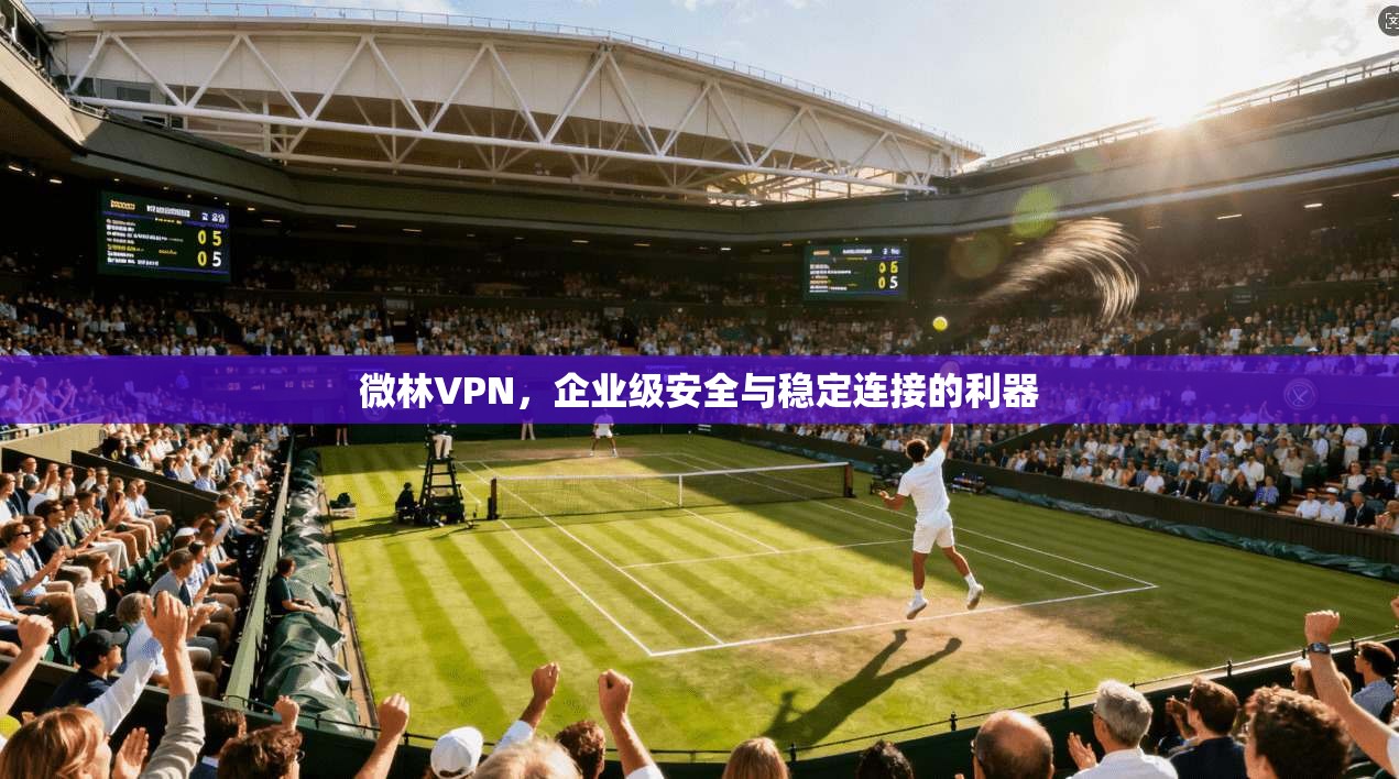 微林VPN，企业级安全与稳定连接的利器