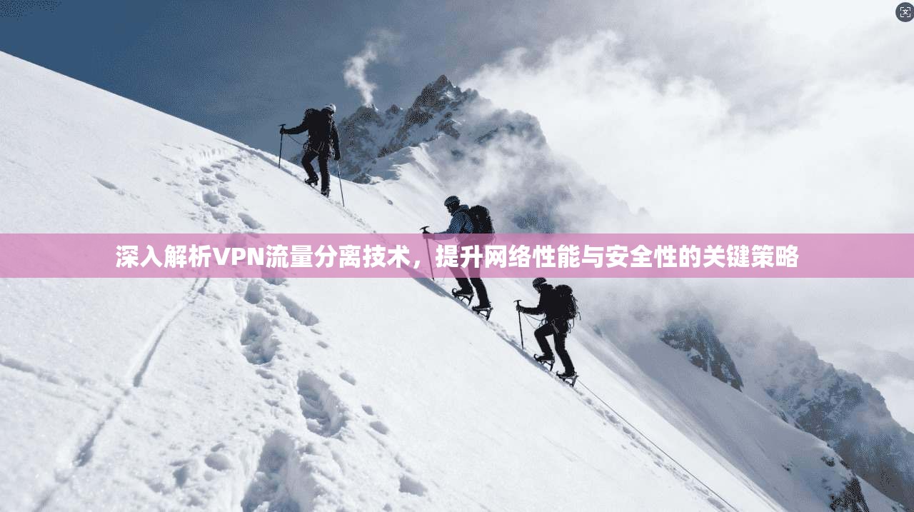 深入解析VPN流量分离技术,提升网络性能与安全性的关键策略 深入解析VPN流量分离技术,提升网络性能与安全性的关键策略