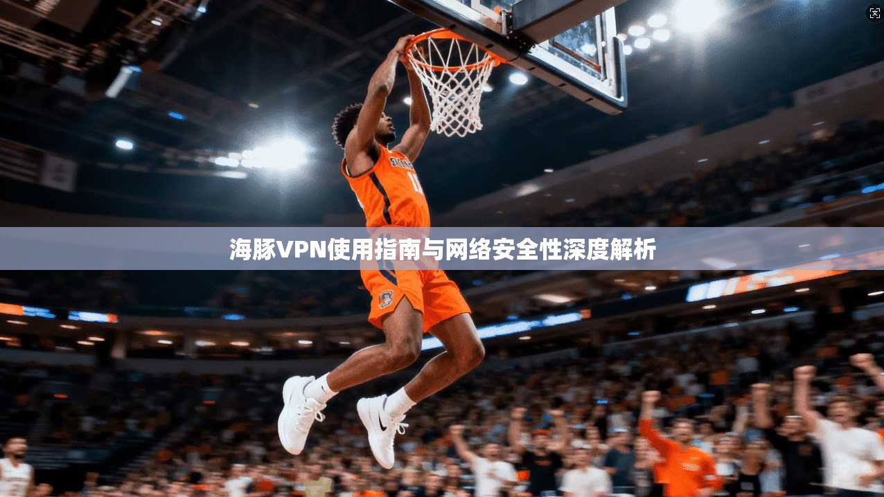 海豚VPN使用指南与网络安全性深度解析 海豚VPN使用指南与网络安全性深度解析
