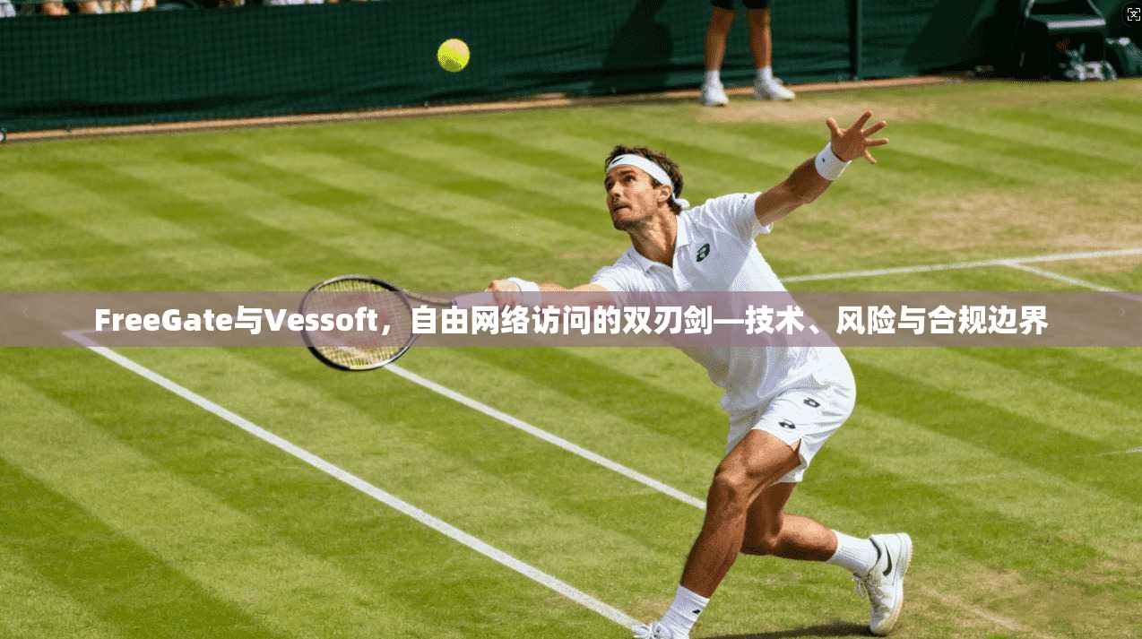 FreeGate与Vessoft，自由网络访问的双刃剑—技术、风险与合规边界