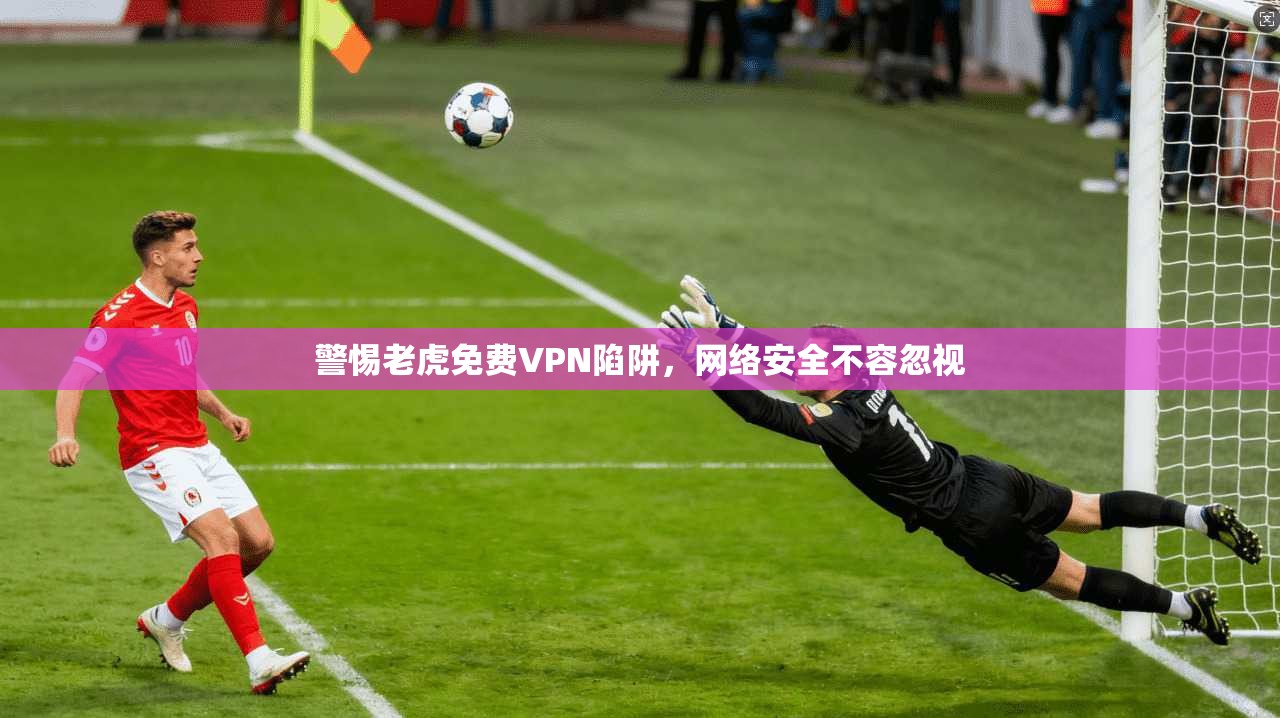 警惕老虎免费VPN陷阱，网络安全不容忽视