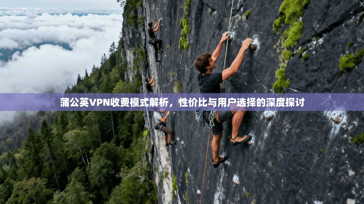蒲公英VPN收费模式解析，性价比与用户选择的深度探讨