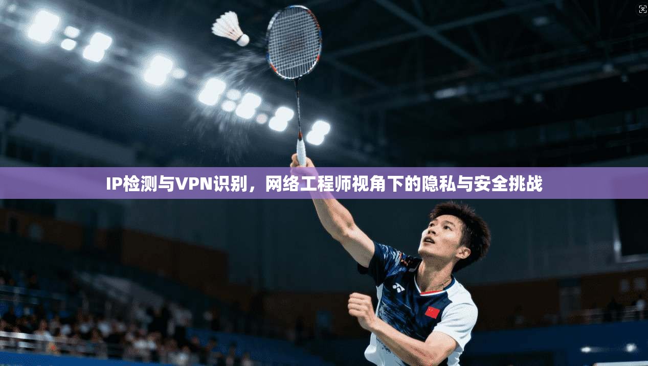 IP检测与VPN识别,网络工程师视角下的隐私与安全挑战 IP检测与VPN识别,网络工程师视角下的隐私与安全挑战