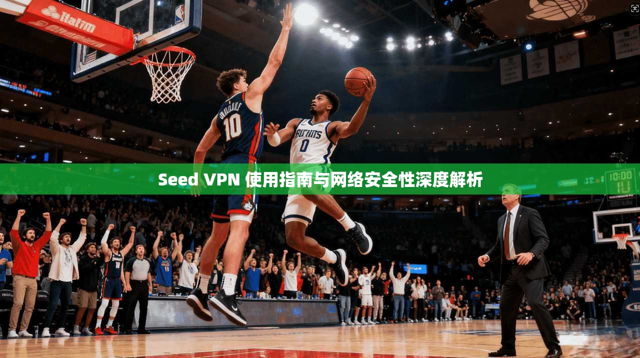 Seed VPN 使用指南与网络安全性深度解析