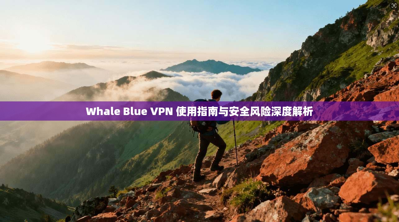 Whale Blue VPN 使用指南与安全风险深度解析