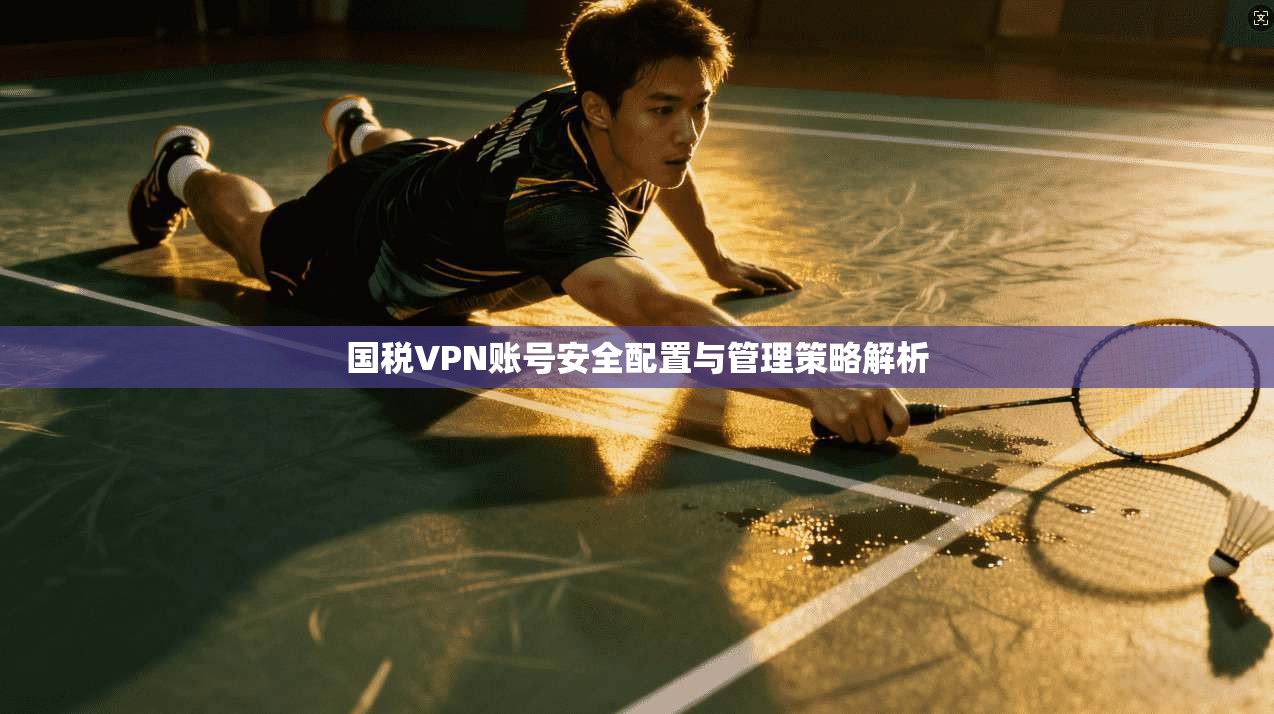 国税VPN账号安全配置与管理策略解析
