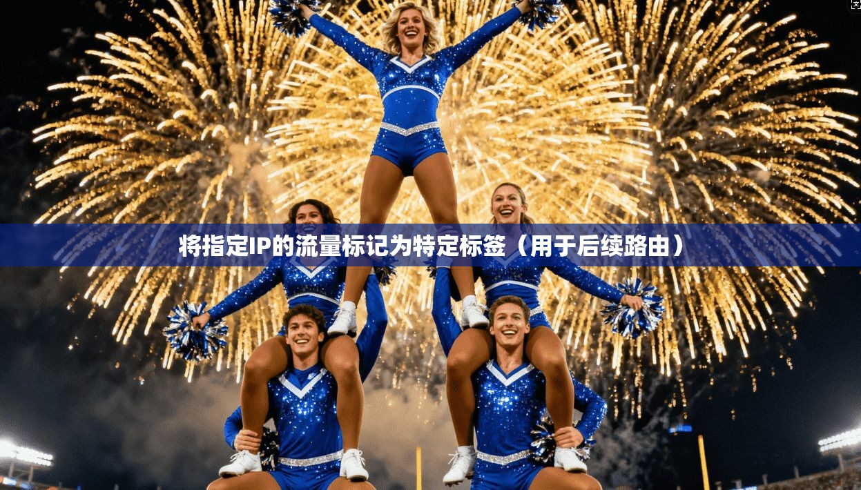 将指定IP的流量标记为特定标签（用于后续路由）