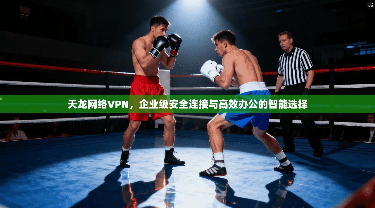 天龙网络VPN,企业级安全连接与高效办公的智能选择 天龙网络VPN,企业级安全连接与高效办公的智能选择