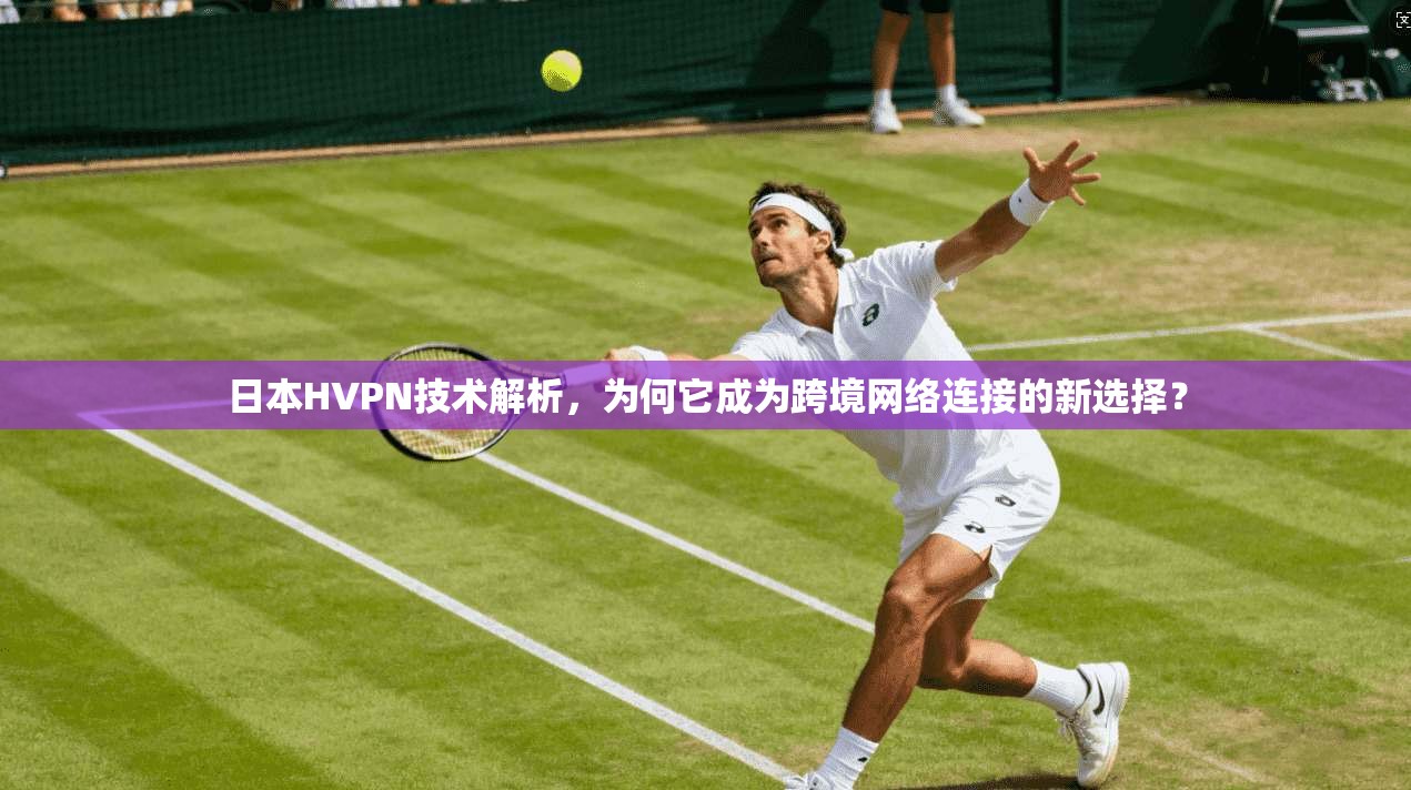 日本HVPN技术解析，为何它成为跨境网络连接的新选择？