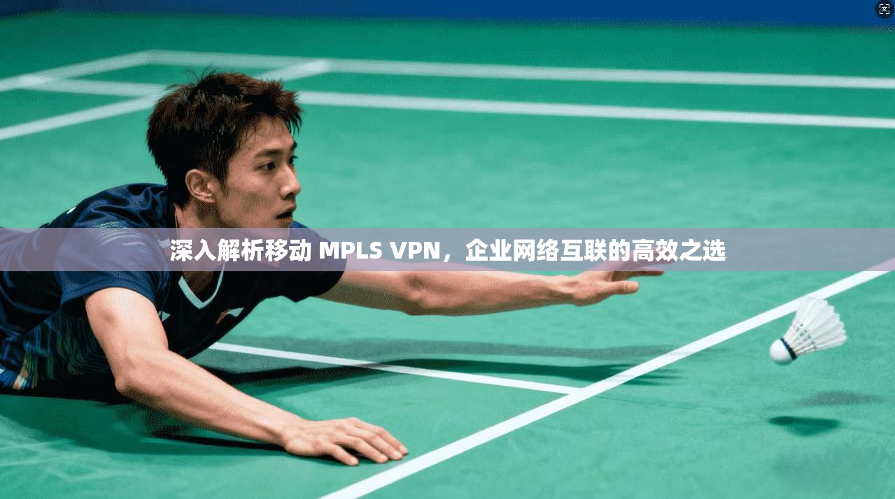 深入解析移动 MPLS VPN，企业网络互联的高效之选