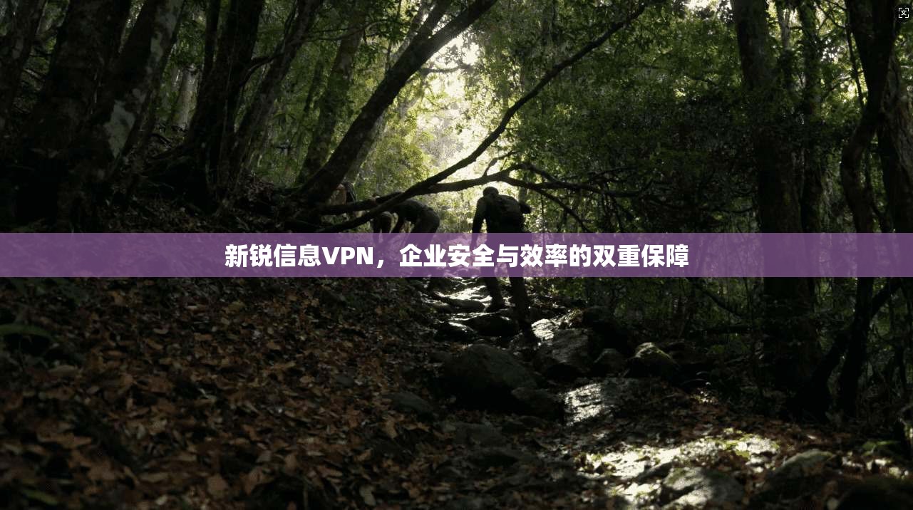 新锐信息VPN，企业安全与效率的双重保障