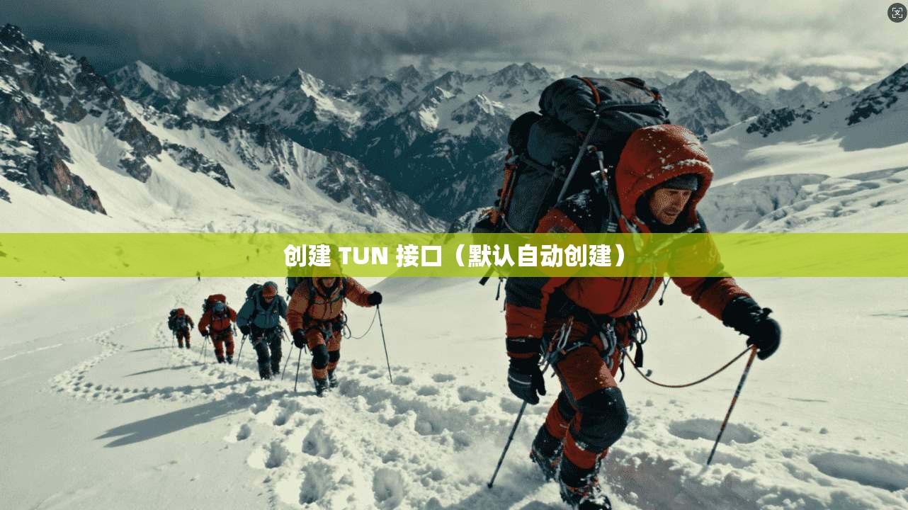 创建 TUN 接口（默认自动创建）
