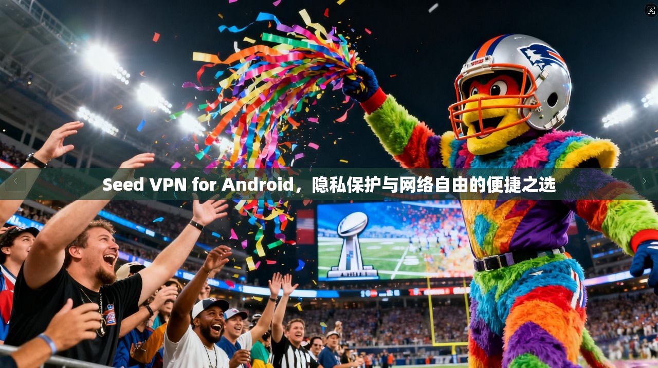 Seed VPN for Android，隐私保护与网络自由的便捷之选