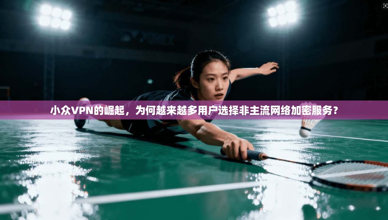 小众VPN的崛起，为何越来越多用户选择非主流网络加密服务？
