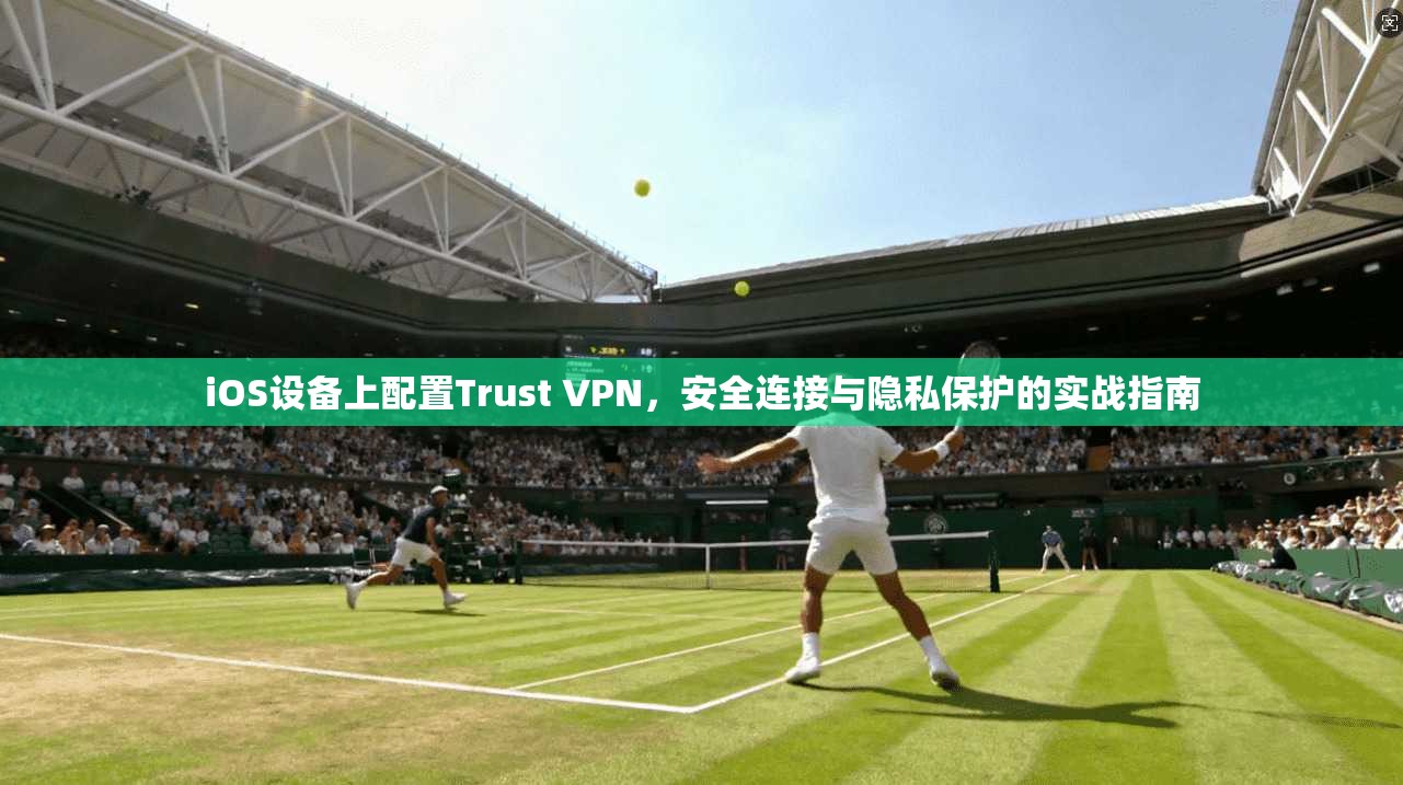 iOS设备上配置Trust VPN，安全连接与隐私保护的实战指南
