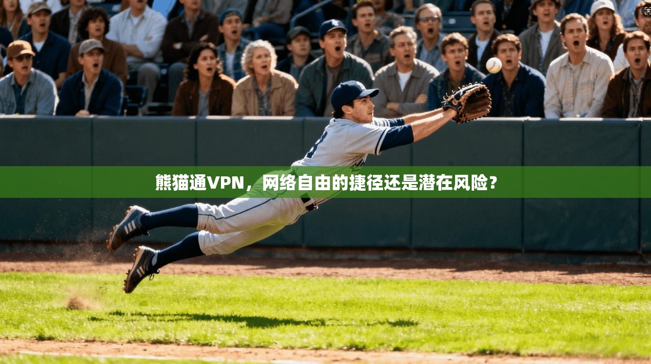 熊猫通VPN，网络自由的捷径还是潜在风险？