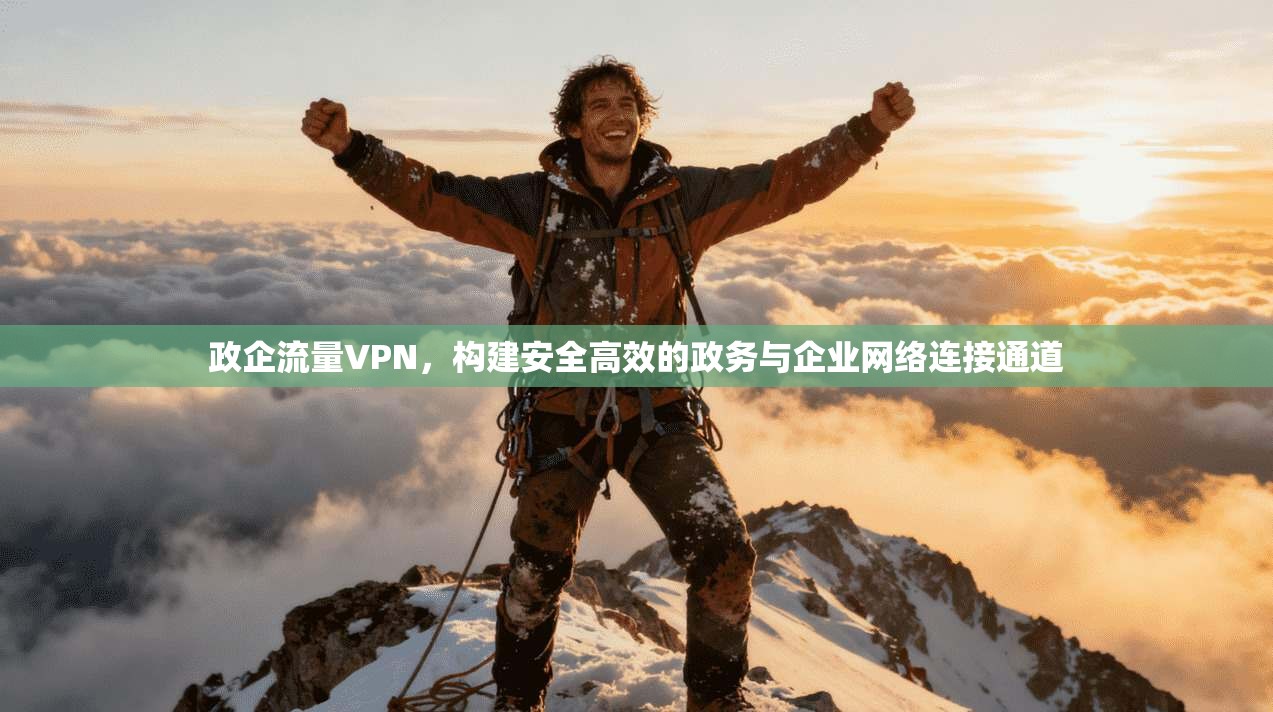 政企流量VPN，构建安全高效的政务与企业网络连接通道