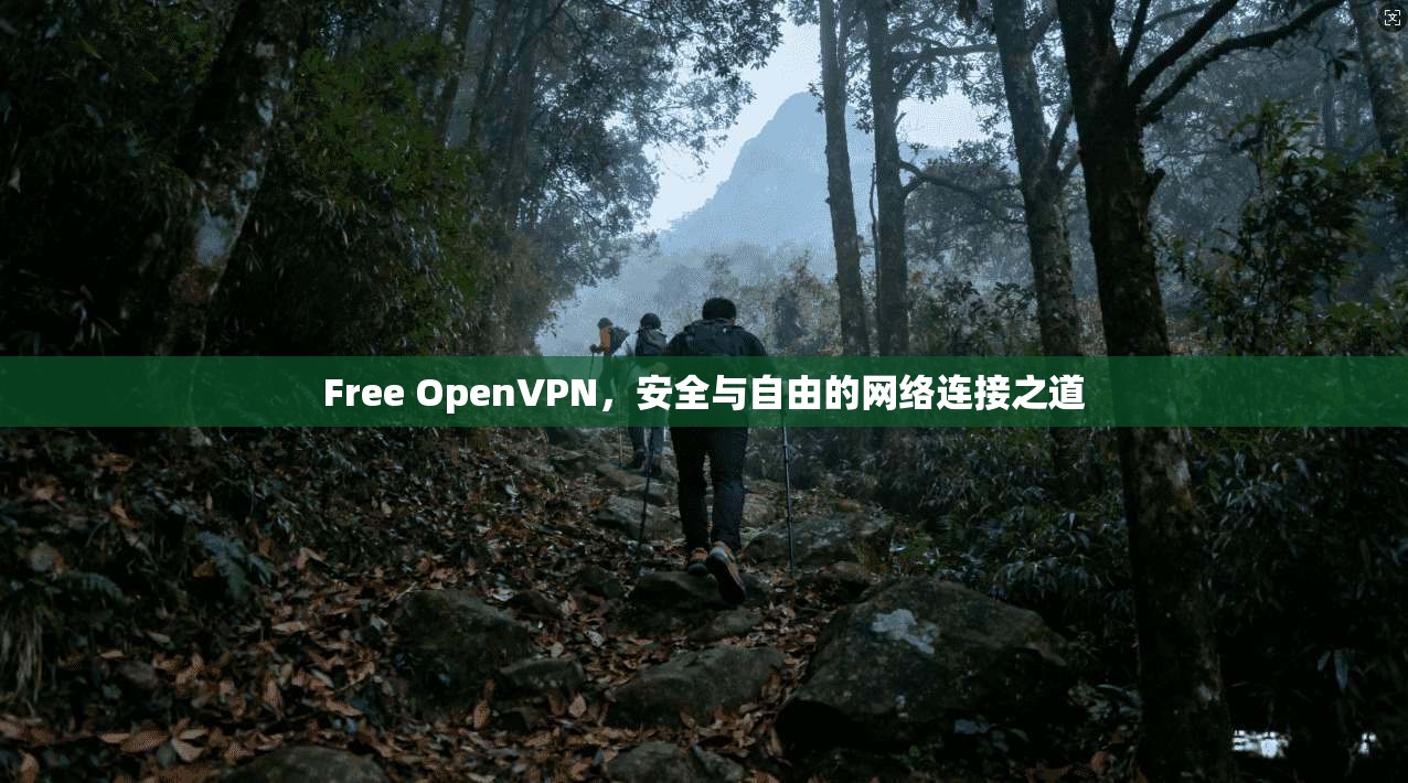 Free OpenVPN，安全与自由的网络连接之道