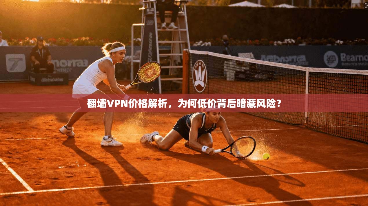 翻墙VPN价格解析，为何低价背后暗藏风险？