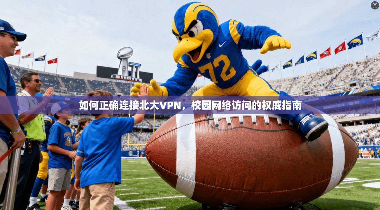 如何正确连接北大VPN，校园网络访问的权威指南