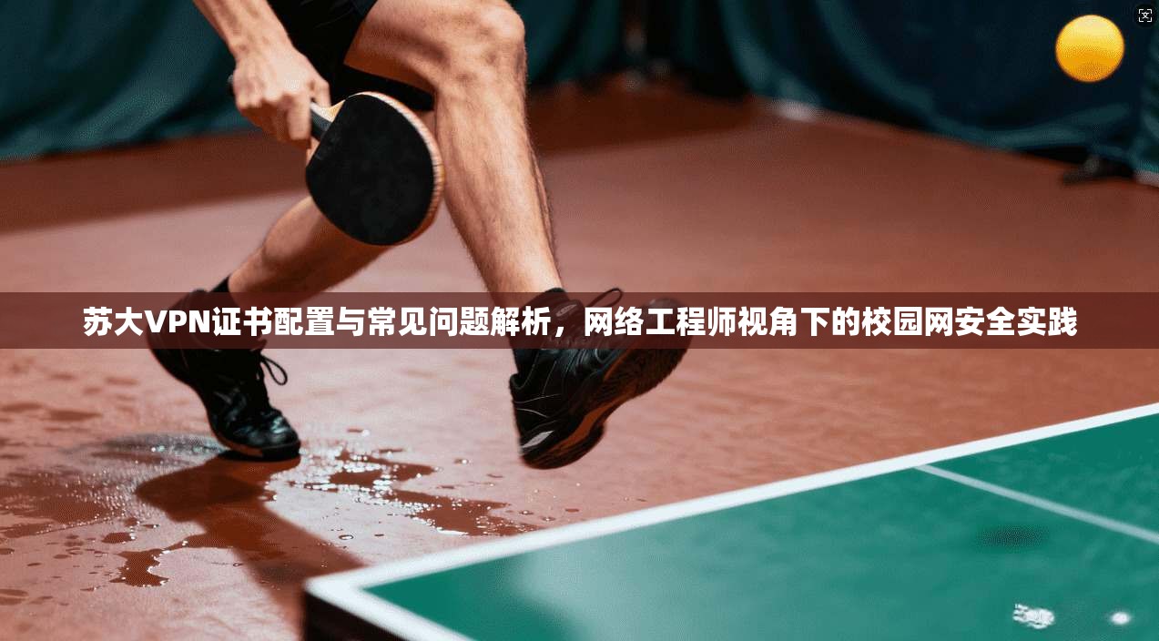 苏大VPN证书配置与常见问题解析，网络工程师视角下的校园网安全实践