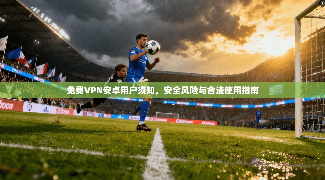 免费VPN安卓用户须知，安全风险与合法使用指南