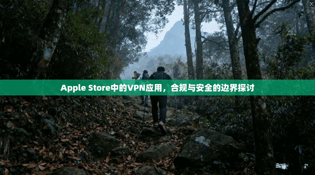Apple Store中的VPN应用，合规与安全的边界探讨