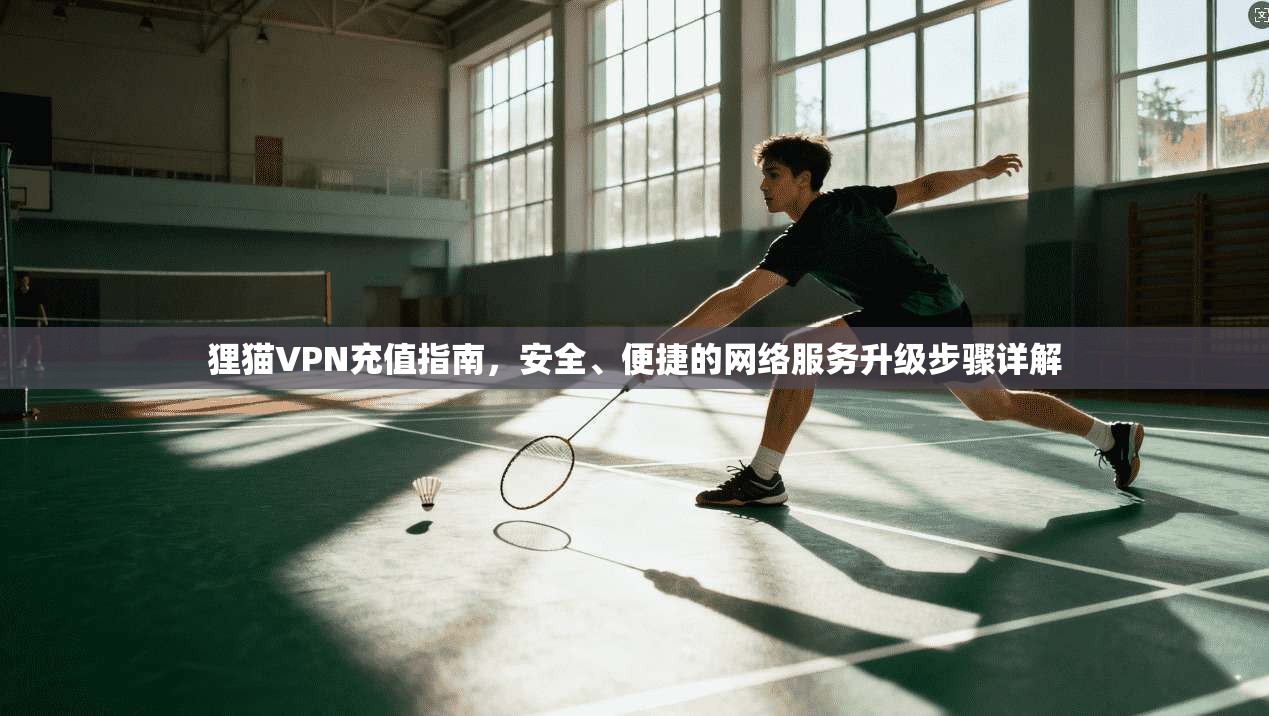 狸猫VPN充值指南，安全、便捷的网络服务升级步骤详解