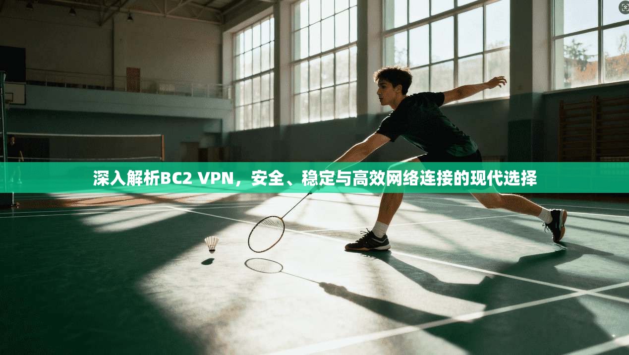 深入解析BC2 VPN，安全、稳定与高效网络连接的现代选择
