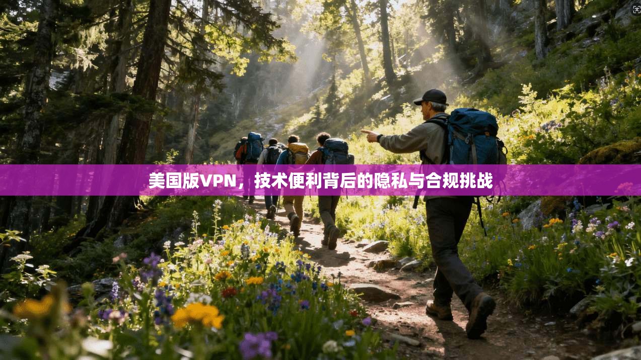 美国版VPN，技术便利背后的隐私与合规挑战