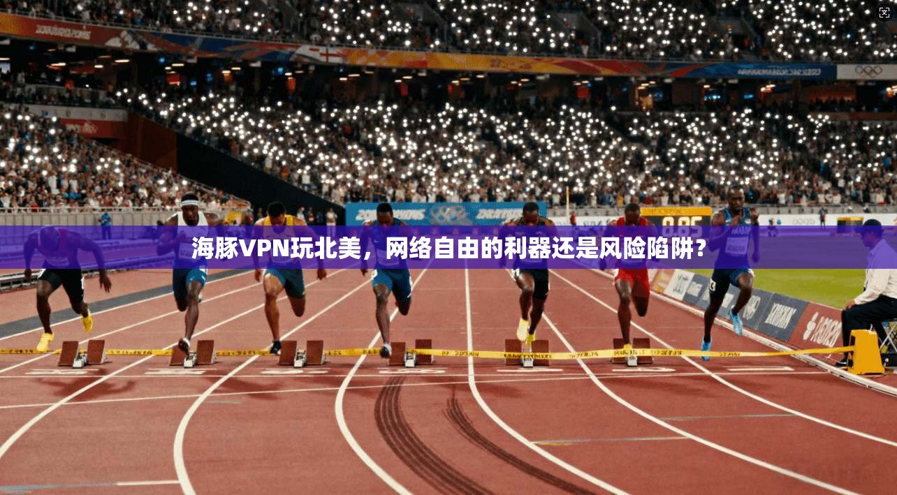 海豚VPN玩北美，网络自由的利器还是风险陷阱？