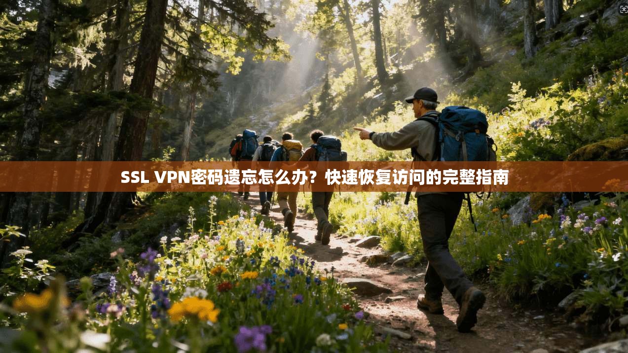 SSL VPN密码遗忘怎么办？快速恢复访问的完整指南