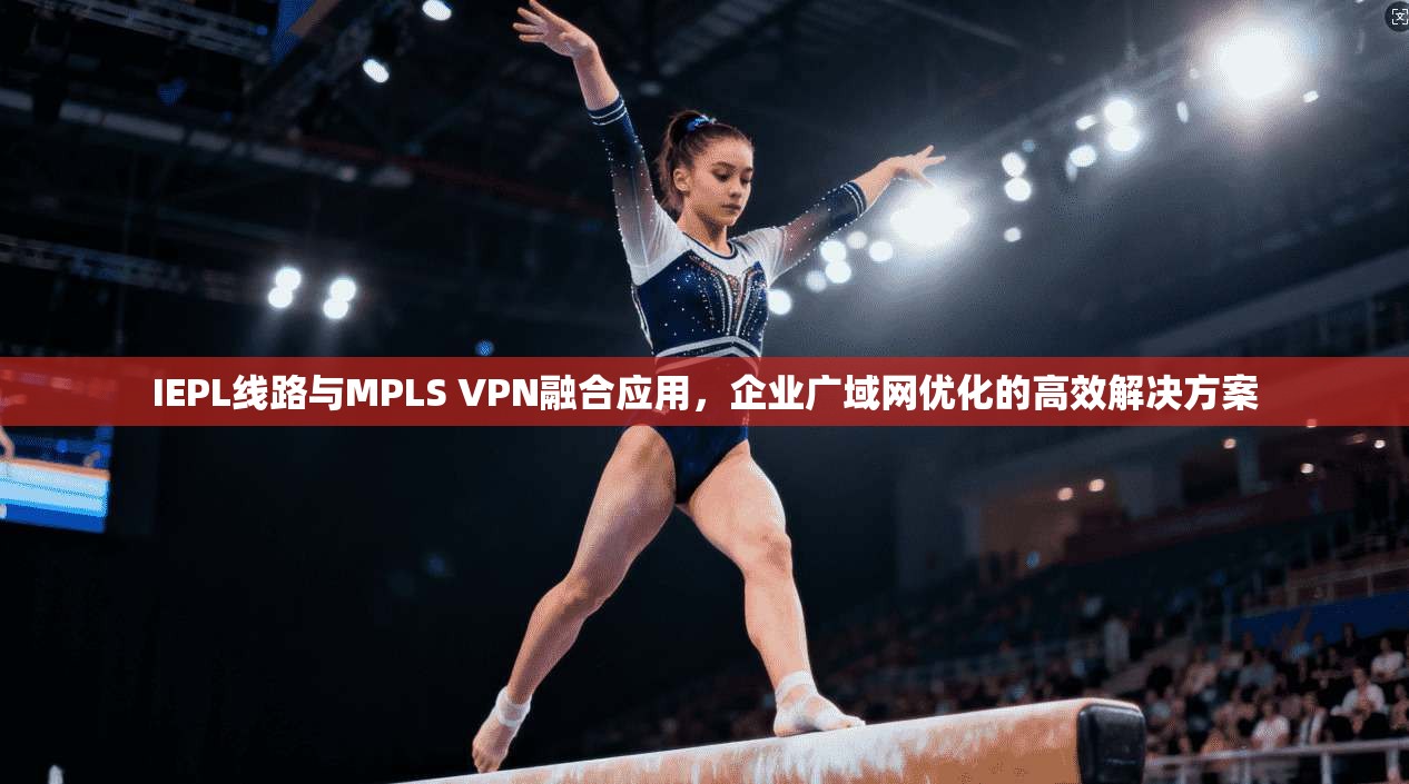 IEPL线路与MPLS VPN融合应用，企业广域网优化的高效解决方案