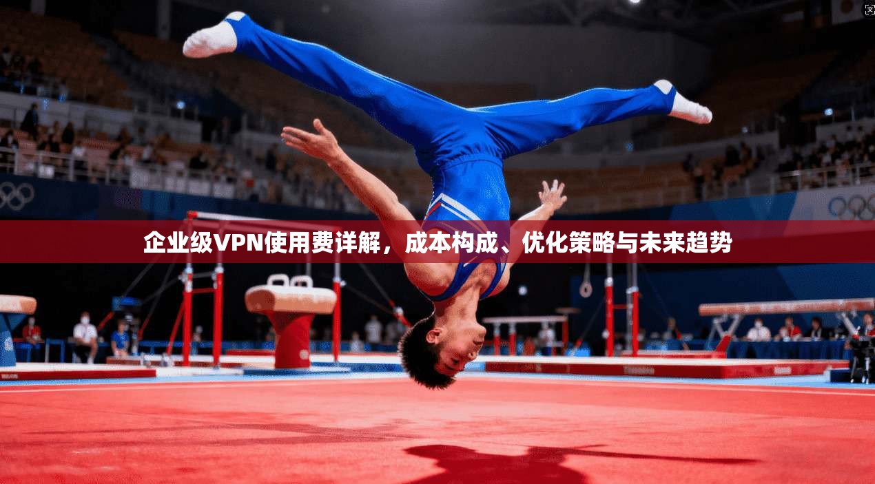 企业级VPN使用费详解，成本构成、优化策略与未来趋势