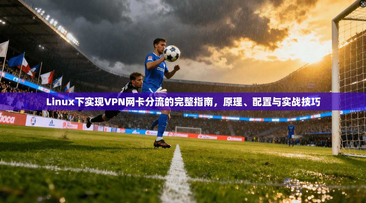 Linux下实现VPN网卡分流的完整指南，原理、配置与实战技巧