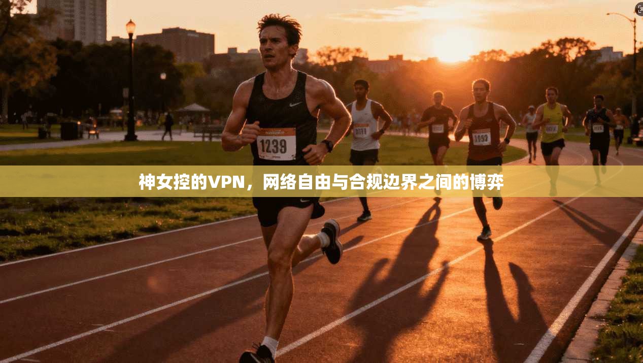 神女控的VPN，网络自由与合规边界之间的博弈