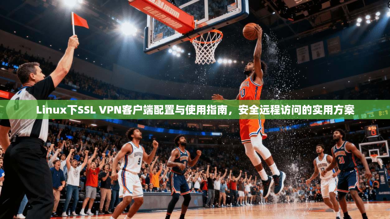 Linux下SSL VPN客户端配置与使用指南，安全远程访问的实用方案