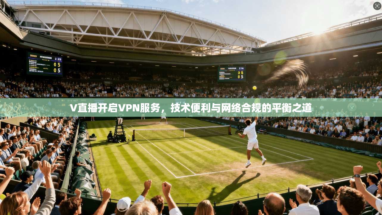 V直播开启VPN服务，技术便利与网络合规的平衡之道