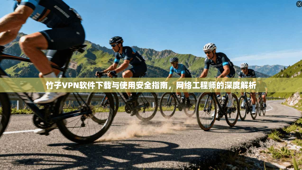 竹子VPN软件下载与使用安全指南，网络工程师的深度解析