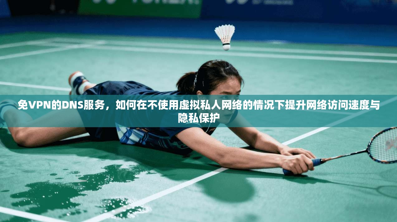 免VPN的DNS服务，如何在不使用虚拟私人网络的情况下提升网络访问速度与隐私保护